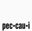 peccaui - contemporary web practices